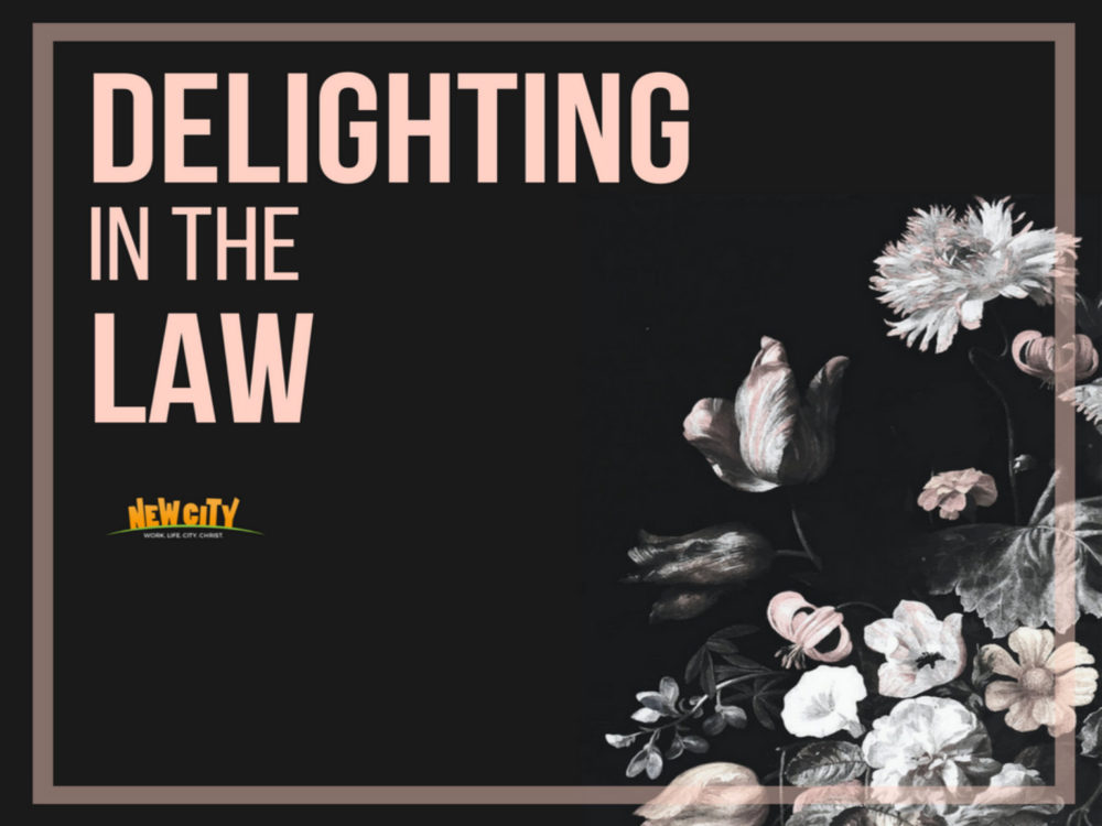 Delighting in the law Image