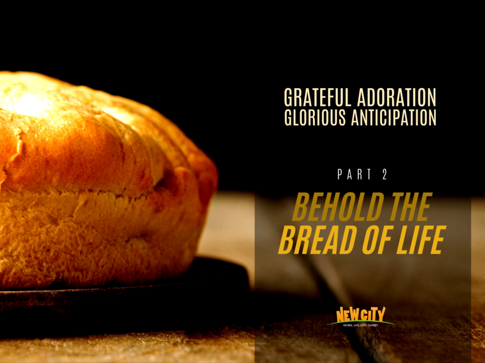 Behold The Bread of Life