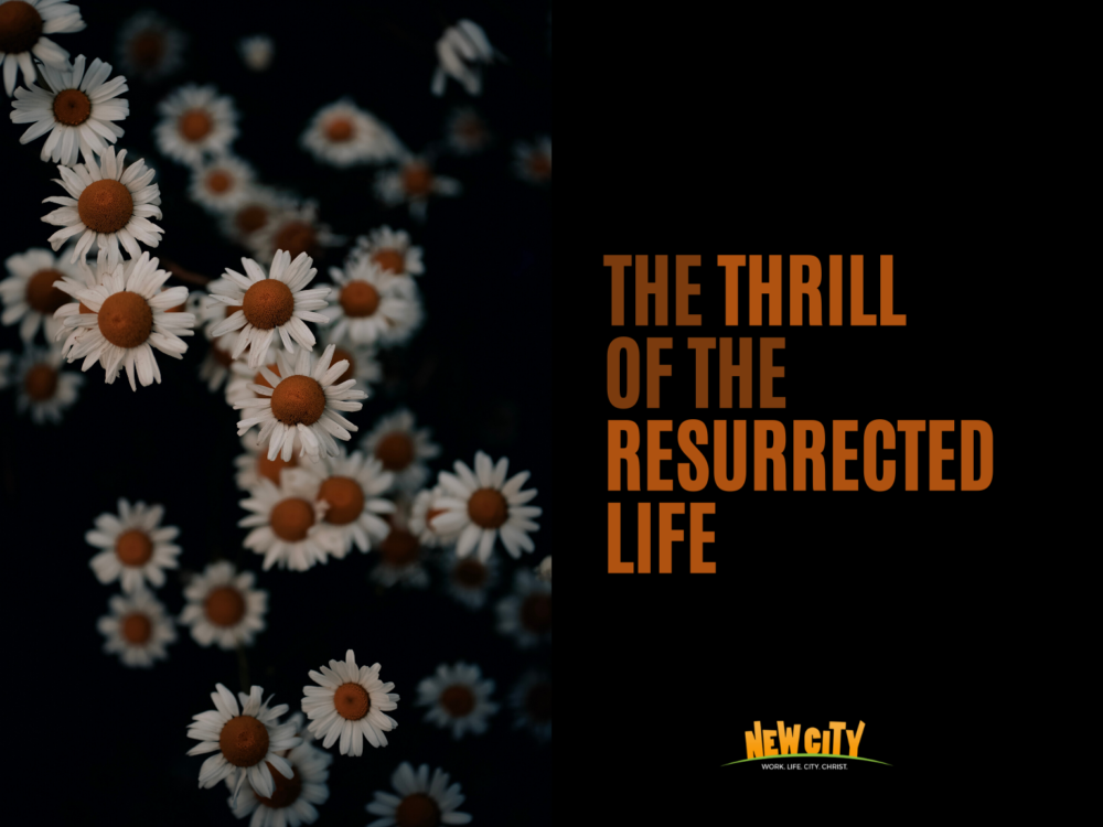 The Thrill of the Resurrected Life