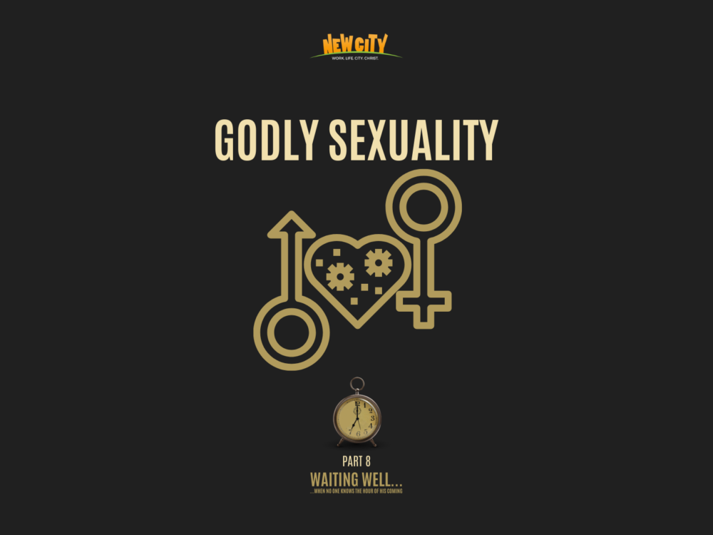 Godly Sexuality