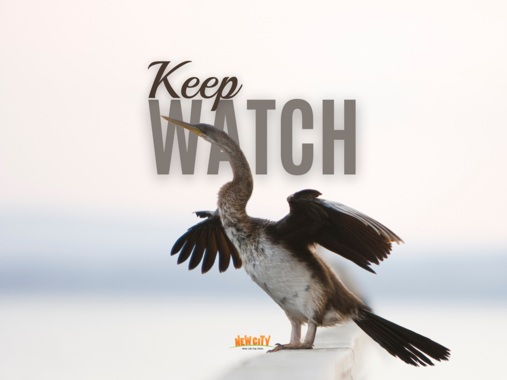 Keep Watch Image