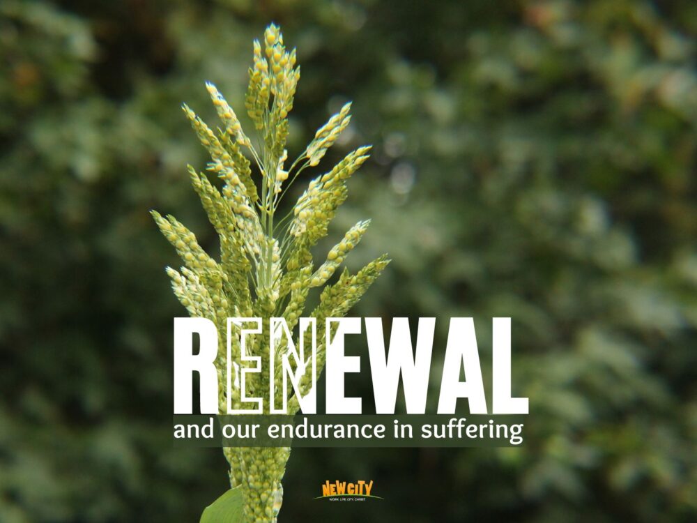 Renewal And Our Endurance In Suffering Image